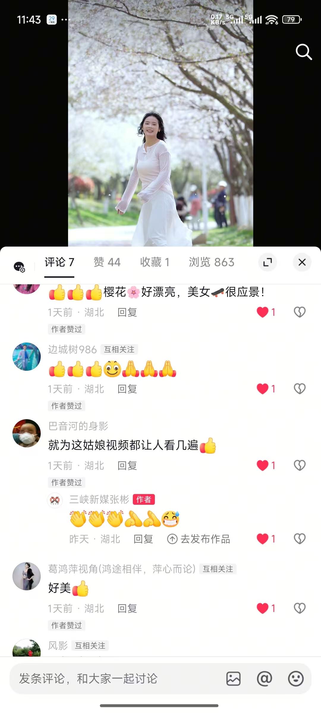 宜都文峰公园，樱花烂漫绽放。粉白花瓣如云似霞，在枝头轻盈摇曳。微风拂过，落英缤纷