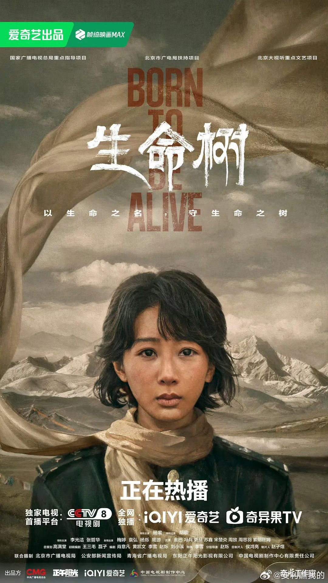 不是吧不是吧！iPhone Duo宣传页居然有《生命树》！杨紫这姐们儿是真的杀疯