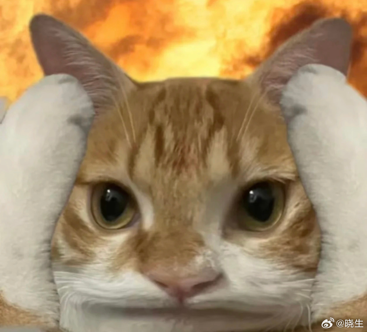 人与人之间的关系很多时候是通过「投射」产生的换句话说呢，你对Ta的感受，不一定真