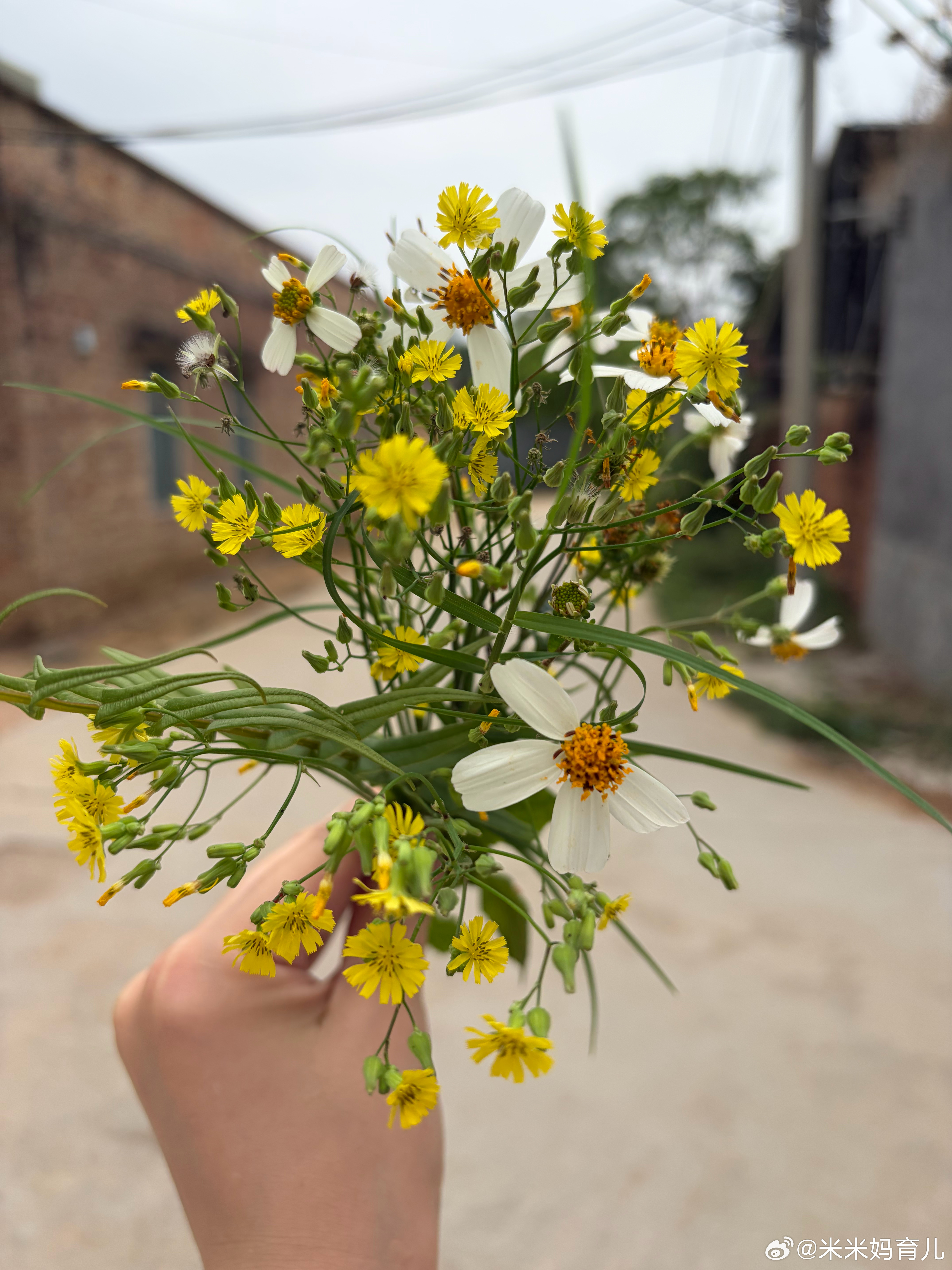 刚才给自己立了一个目标～这个月的kpi完成应该没问题想把下个月的kpi再拉高一些