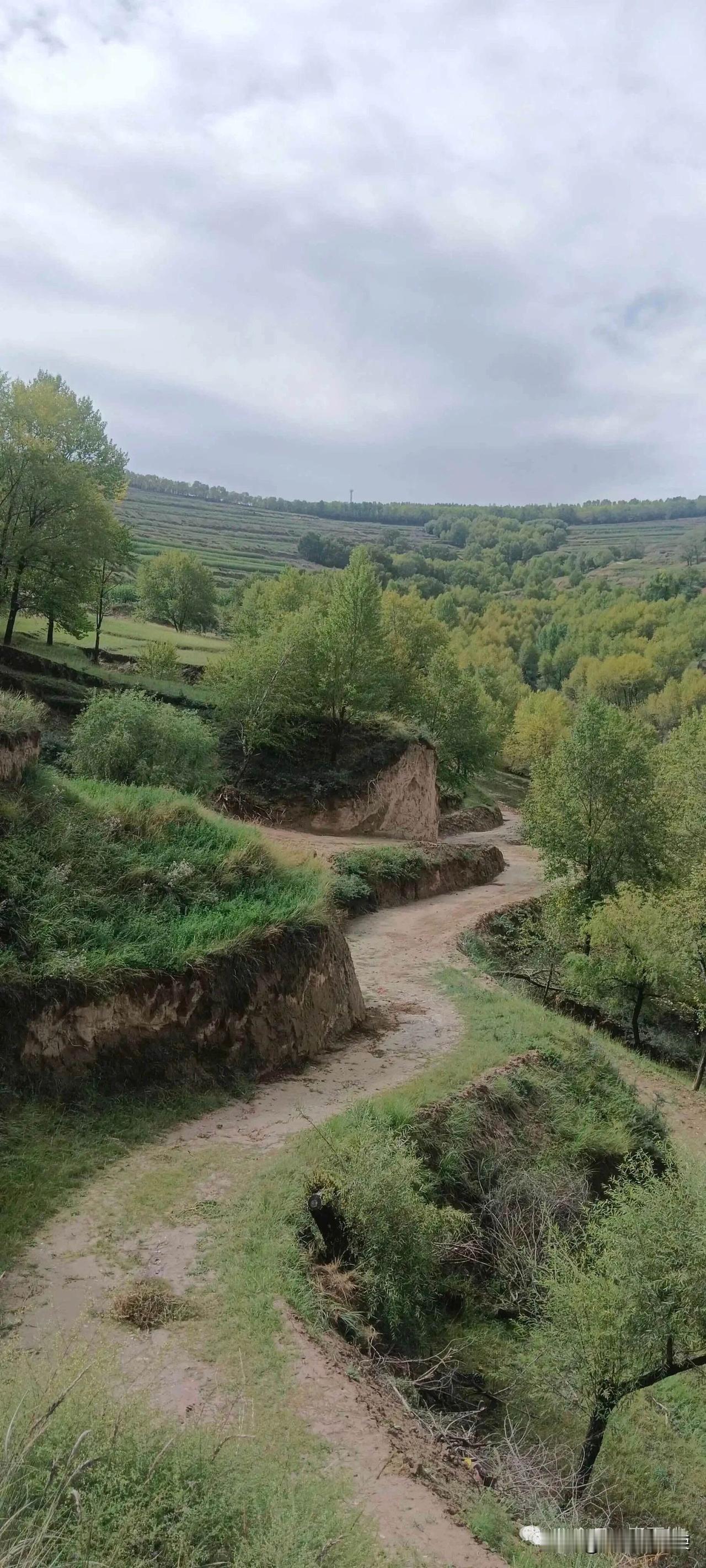 下面哪种自然环境，你更喜欢哪？
第一张像黄土高原的春天，有土山坡，小路在期间徘徊