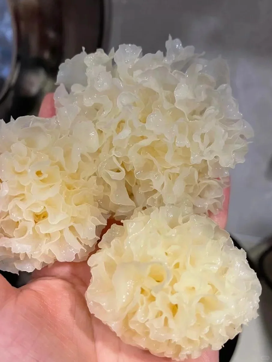 🔥椴木银耳和普通银耳的区别❓