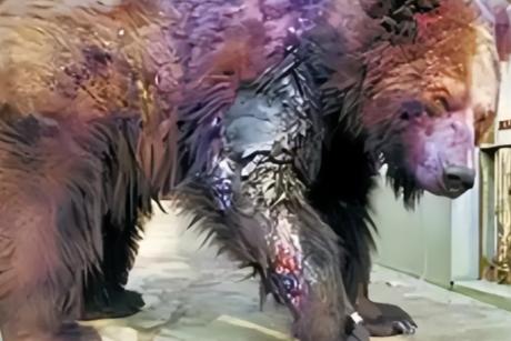 2002年，22岁的清华学生刘海洋，在北京动物园连续向5只黑熊泼洒浓硫酸，多年后