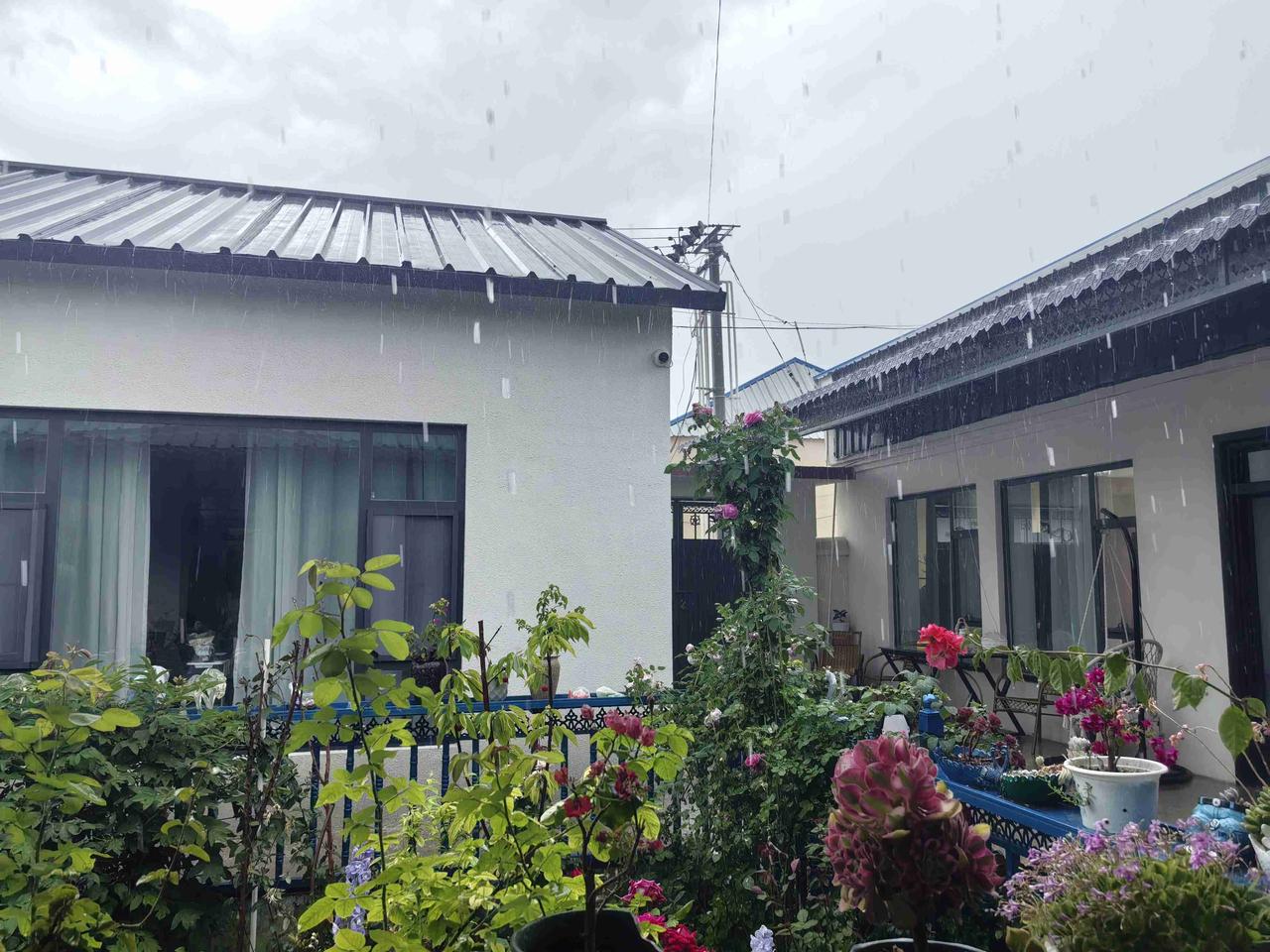 没想到，在新疆伊利的昭苏，会下这样一场大暴雨。

幸亏今天行程轻松。我们早早回到