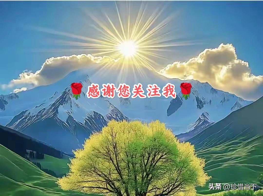 快来看看我新换的主页背景吧