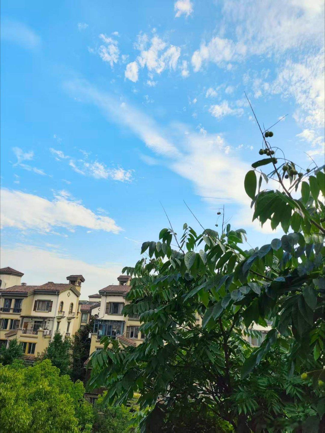 早上蓝天白云：有云如毯，有云如絮……用眼睛寻找美丽江南天天拍江南手影好摄天下 马