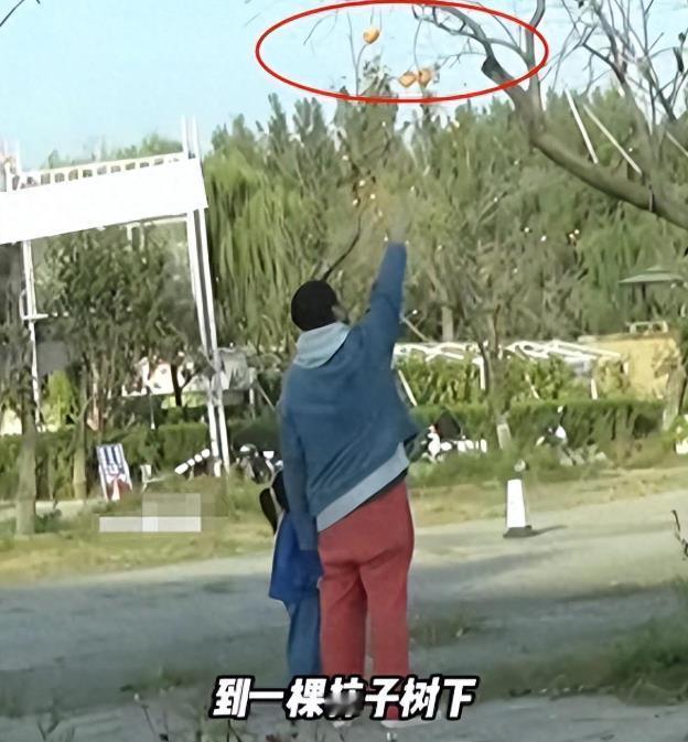 #秋日生活记录#
骂上热搜第一了，王传君交罚款为女儿摘公园柿子！
近日，演员王传