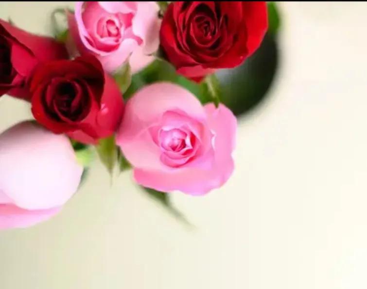 人生黄昏，能遇到这样一个人，能牵着他的手，一起走过剩下的路。

把冰冷的日子，过