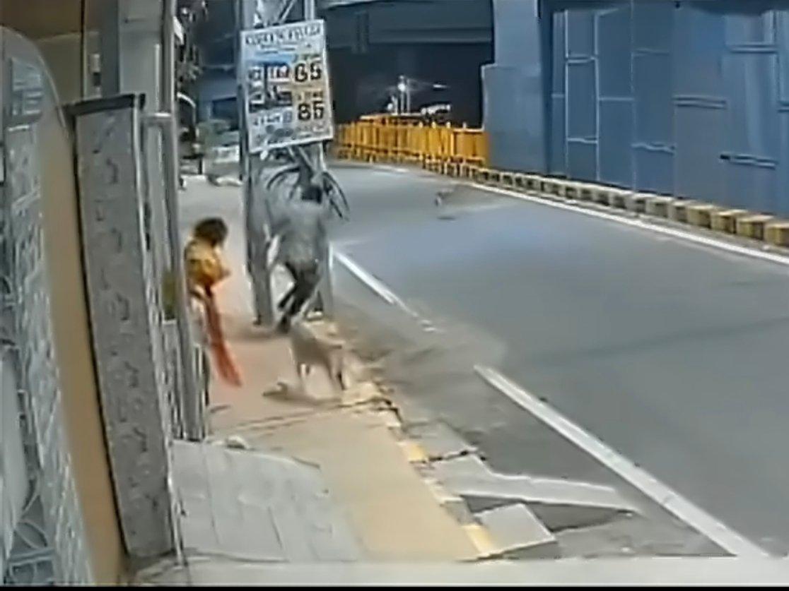 印度女子险遭性侵被流浪狗所救隔壁三哥人不如狗系列…[二哈] ​​​
