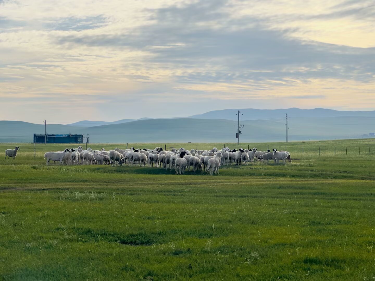 失眠了 数🐑吧热阿线的羊数也数不过来最近每天都早醒～每周早醒超过3次建议及时就