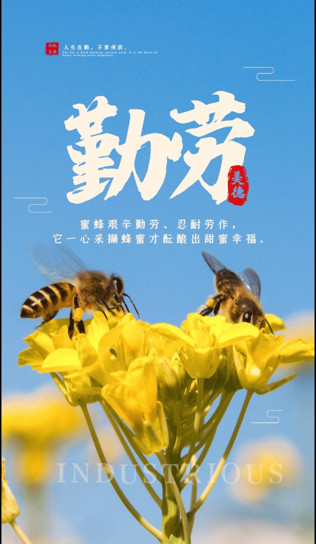 这是什么习惯

外孙愿吃西红柿炒鸡蛋。每次炒完，老婆总会用半个馒头擦试锅底，擦一