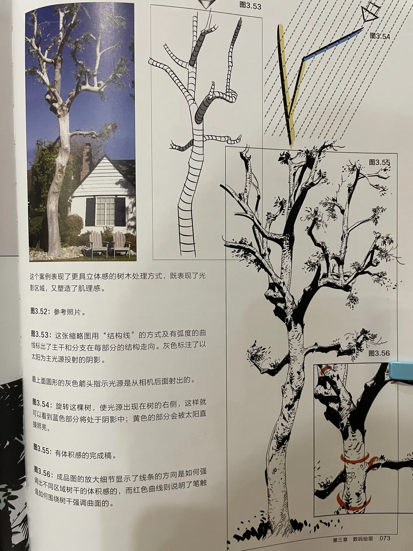 整体。这套书中作者反复强调整体大关系的重要性