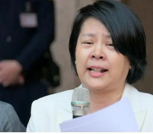 民众党中评会开会决议开除李贞秀党籍，可以说民众党开除李贞秀简单，理由也好找，民众