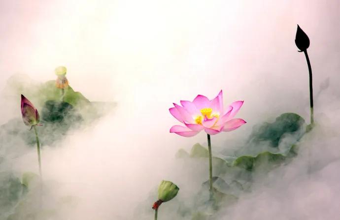 春至花如锦，夏近叶成帷。
南北朝  李爽 《芳树》

释义：春来花似锦，夏日即将