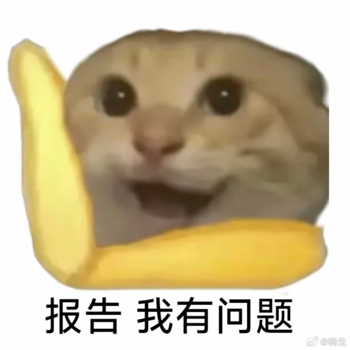 我有一个疑问求助一下大家：咨询中聊完前期问题，后续表示具体指导是付费内容之后，来