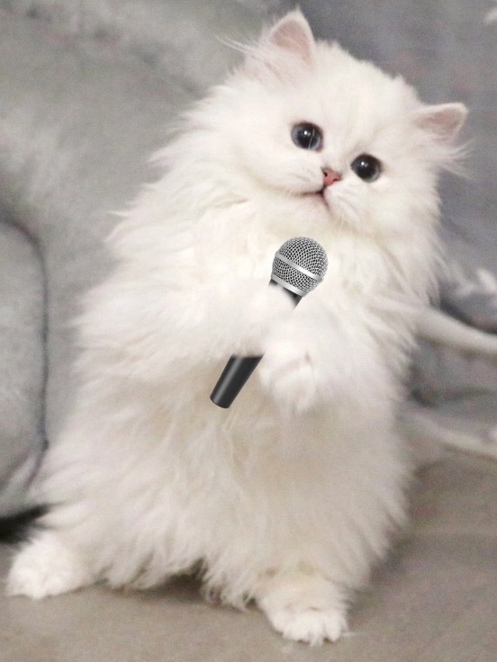 简直是咪在唱歌🎤 