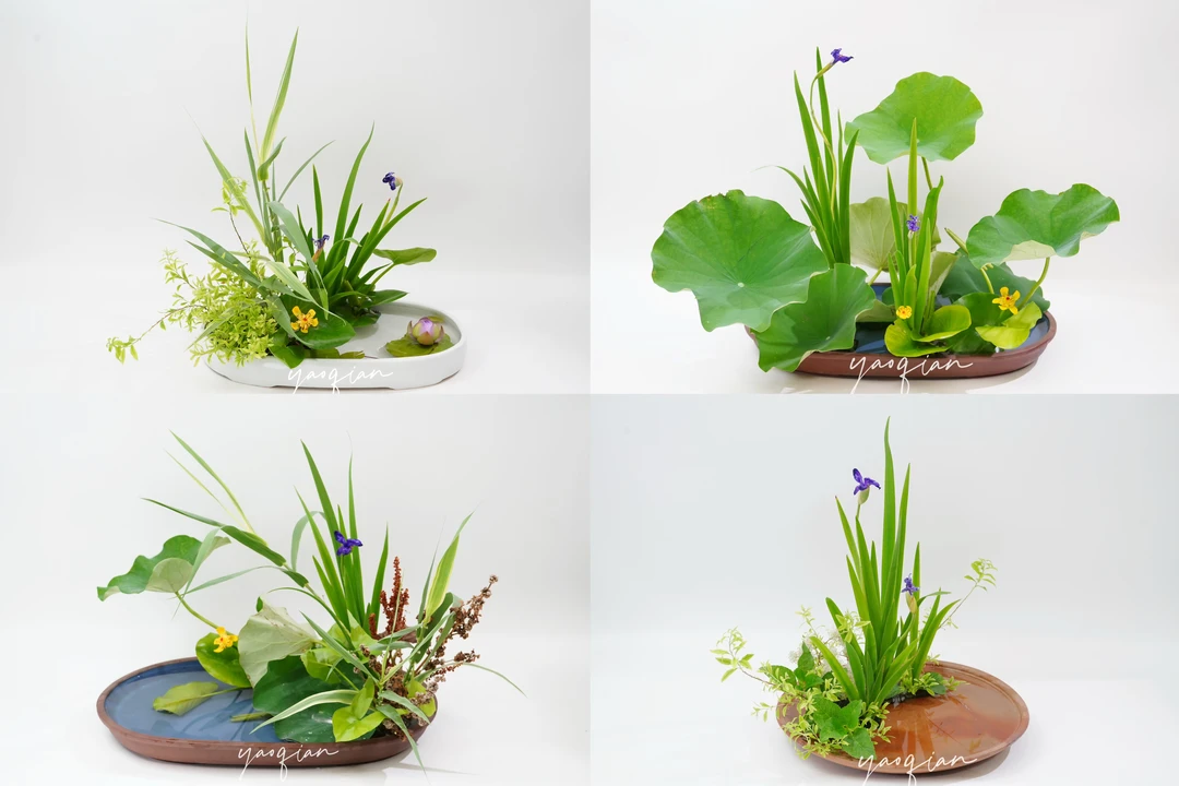 写景盛花自然本位 | 莲与燕子花