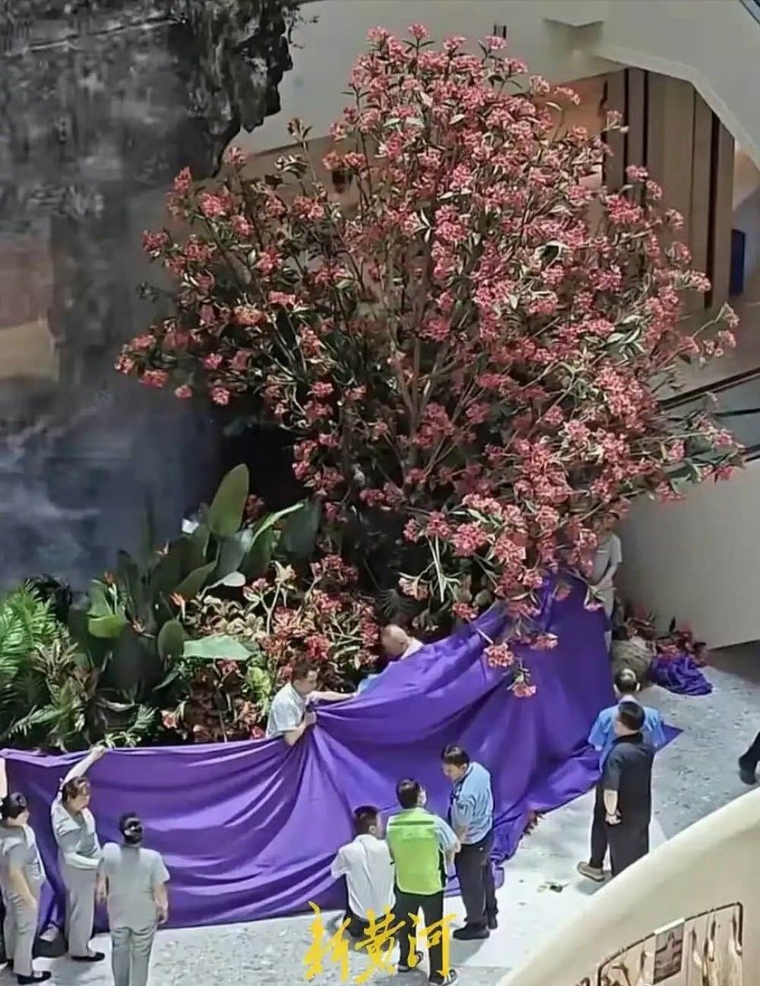西安赛格商户坠亡事件三重拷问【安赛格商户坠亡事件：一场悲剧引发三重拷问｜中听 】