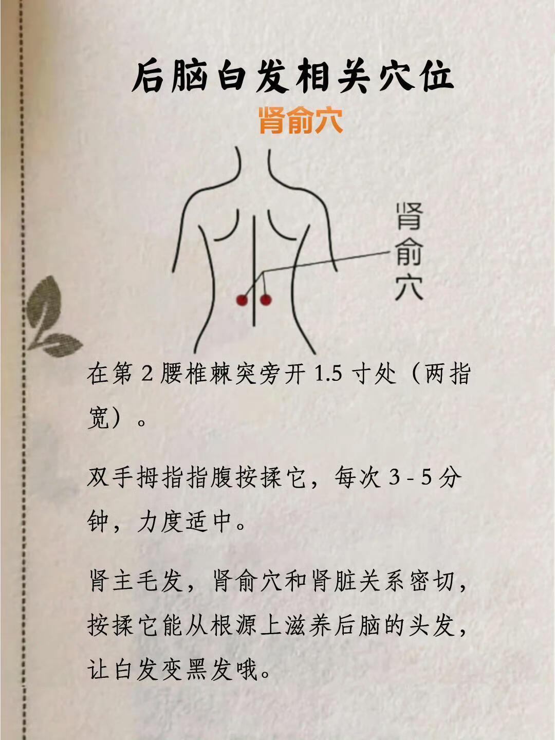人体自带的黑发穴大揭秘 