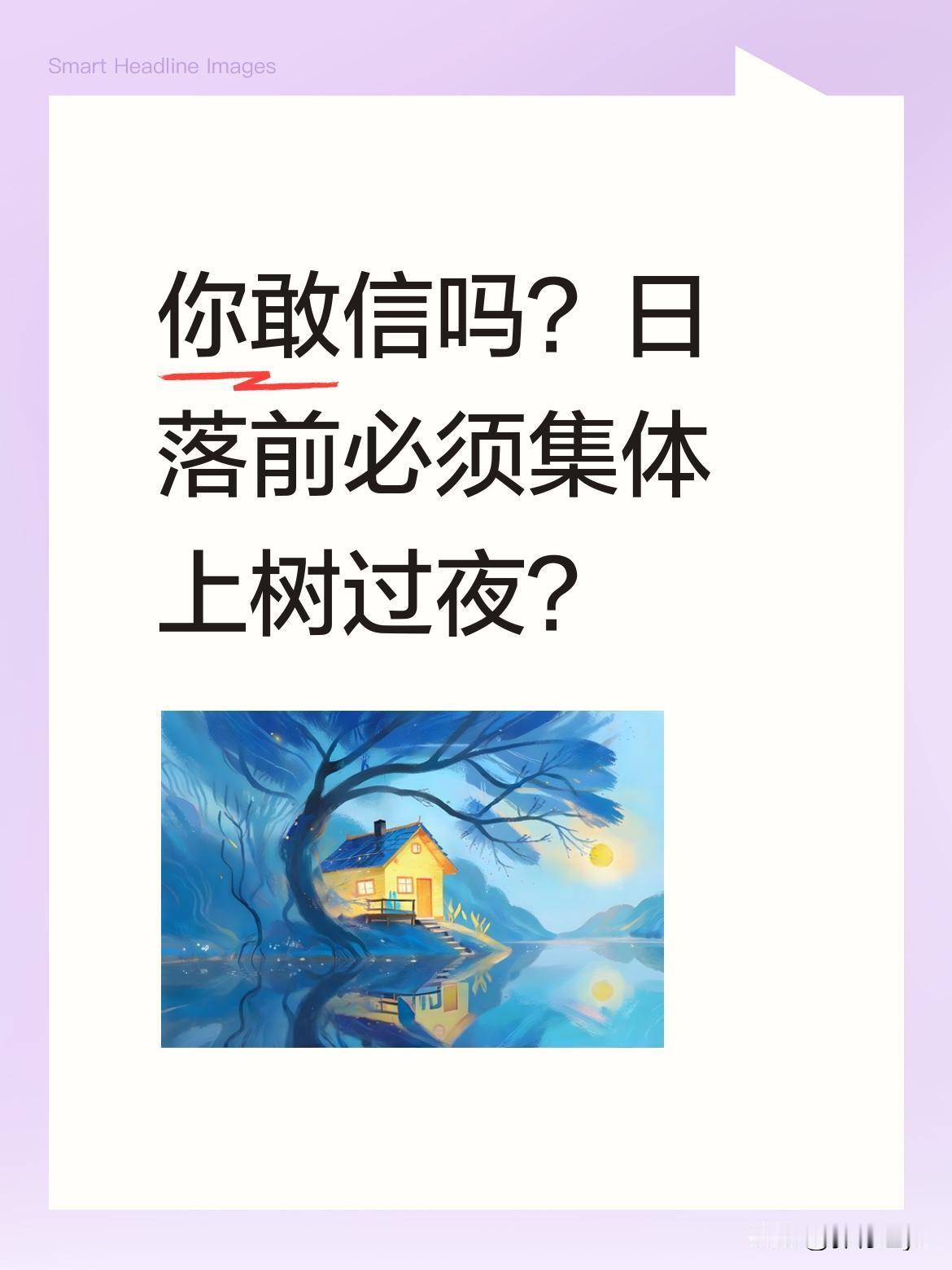 你敢信吗？日落前必须集体上树过夜？
在原始森林深处，有个部落族人世代栖身树顶。他