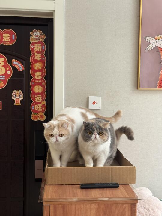 是什么让我们团结