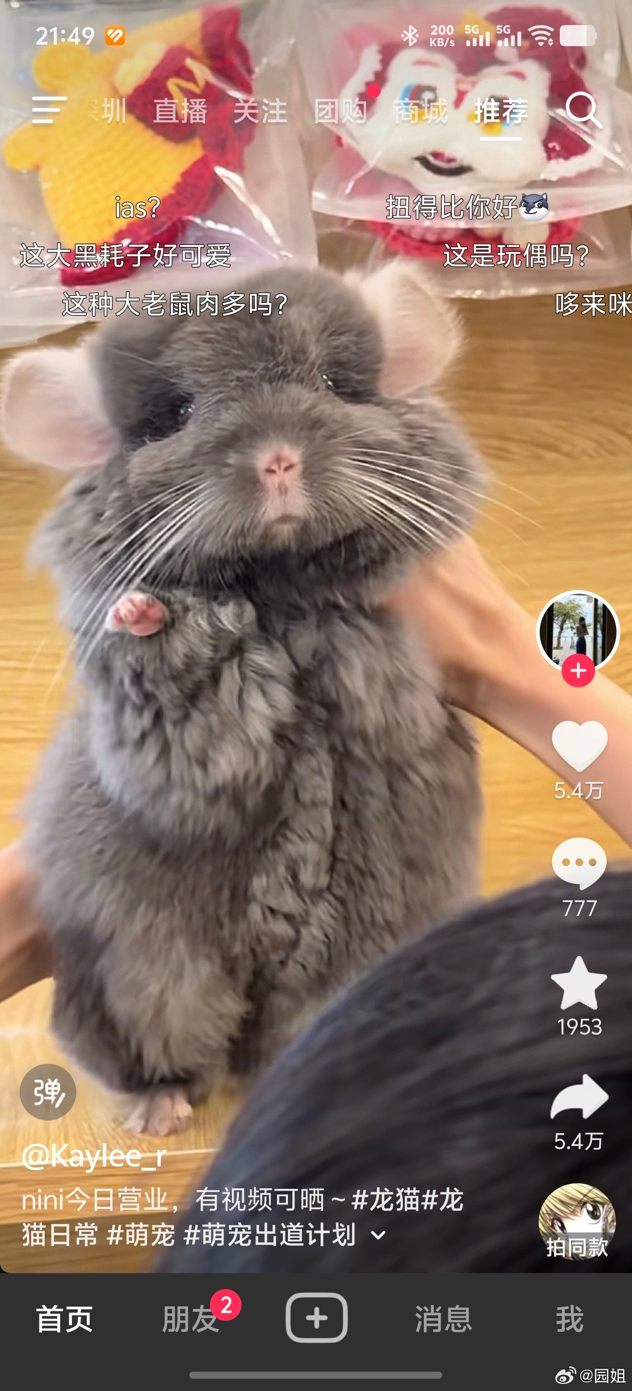 最近符号那边总能刷到龙猫，想养龙猫的心蠢蠢欲动[泪奔] ​​​