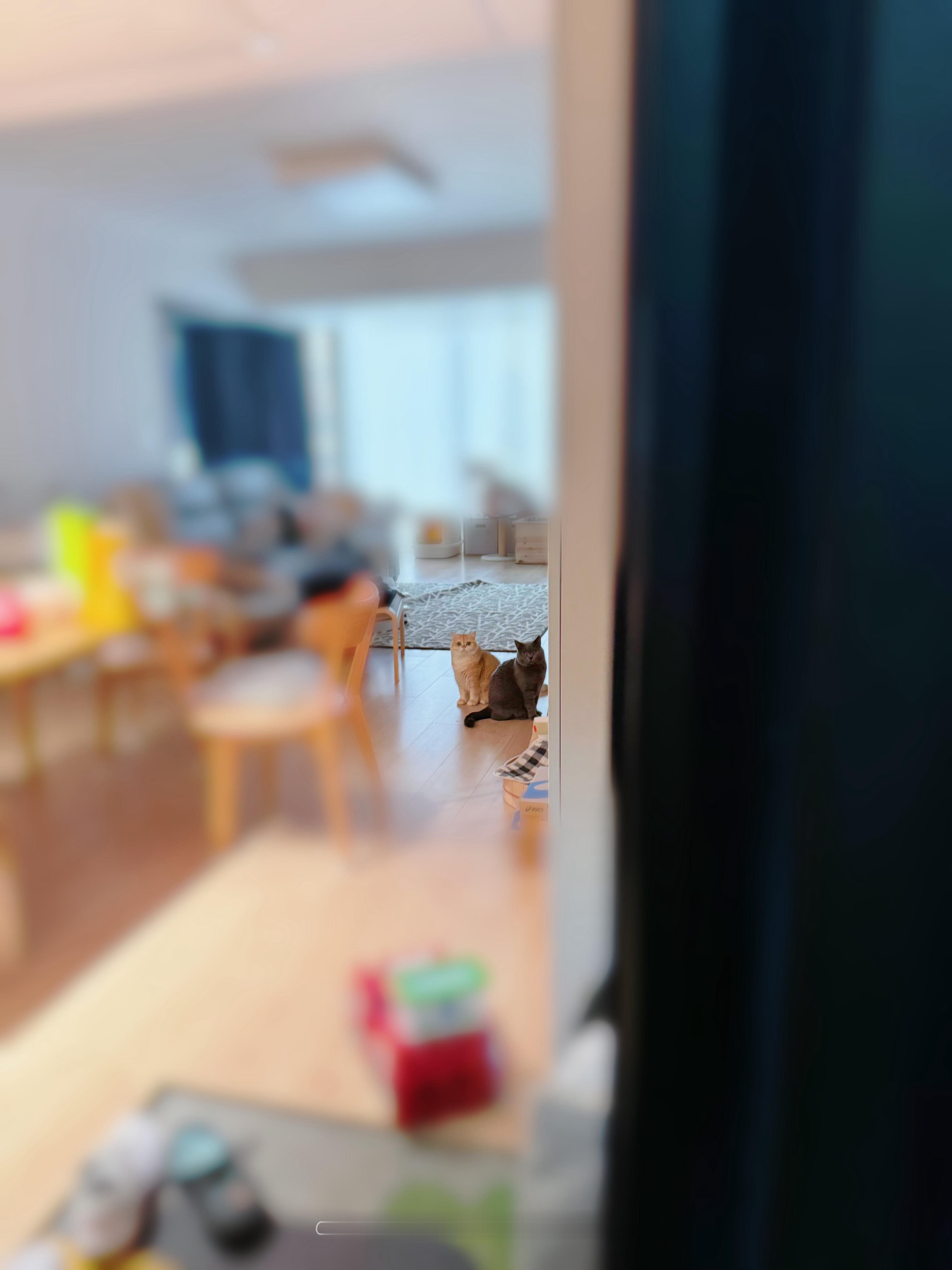 哈哈哈哈哈哈今天送我出门打猎的造型怎么这么可爱[我想开了]#菇冬怎么肥四[超话]