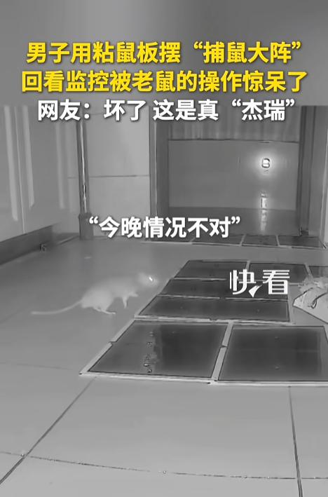 “看麻了！”8月4日报道，广东，一男子用粘鼠板摆了个捕鼠大阵，中间放上诱饵，一圈