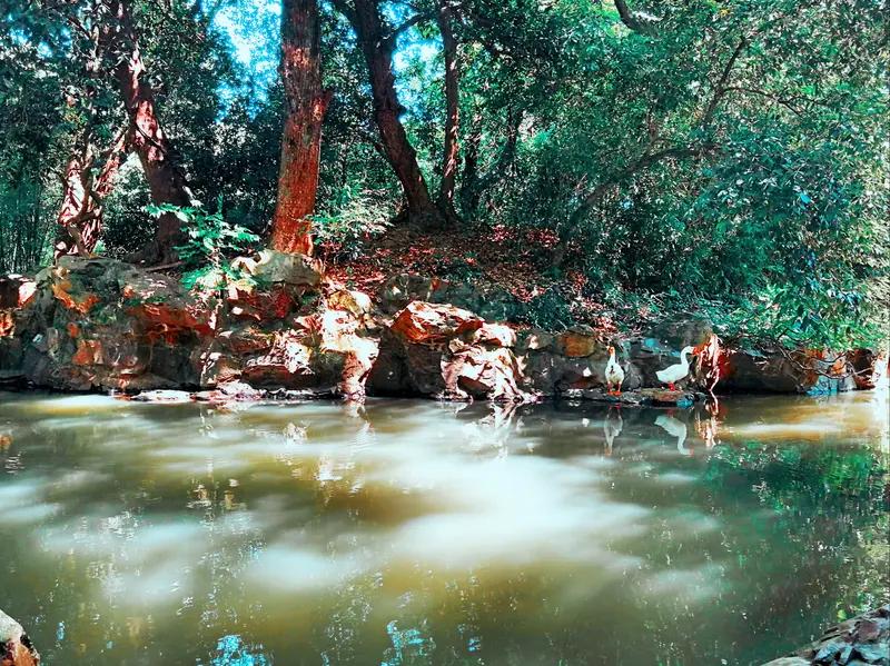 身心疗愈如今可是热门话题，各类新方法不断涌现。就拿冥想来说，寻一处安静之地，闭上