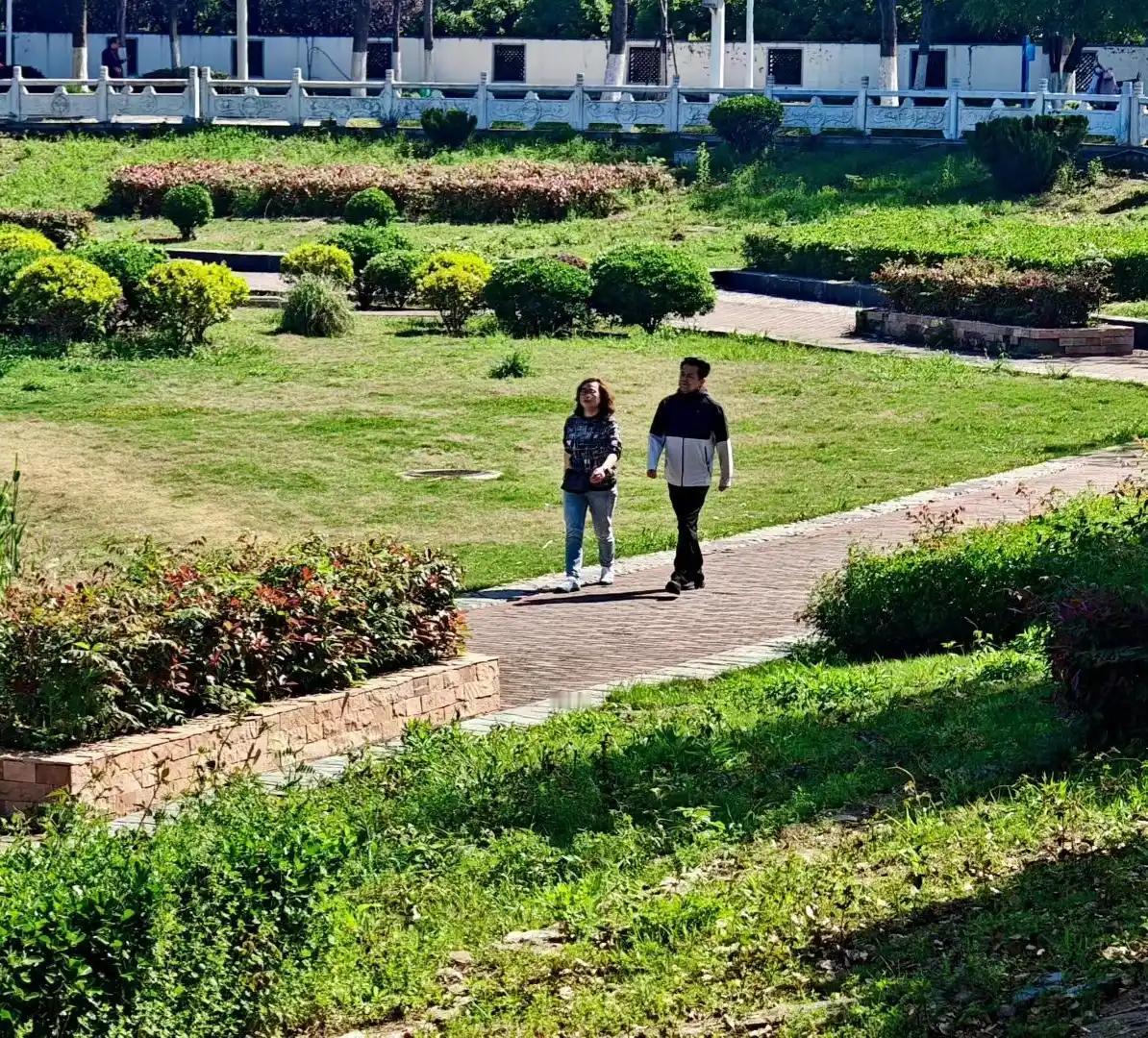 春日的风，总带着股软乎乎的劲儿，把广场上的树都吹得发了芽。新叶是嫩生生的绿，在枝