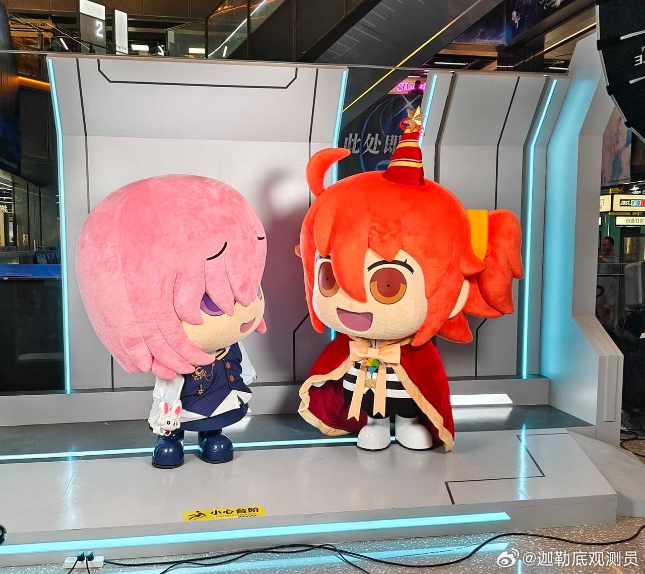 【投稿】「投稿一下我拍的fes现场的咕哒子和玛修」 