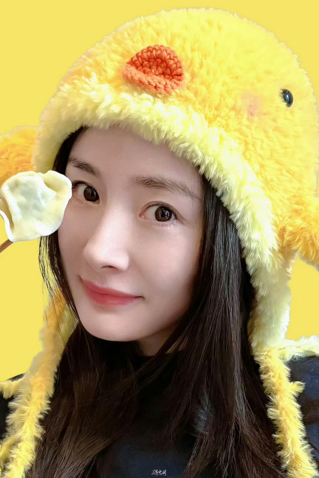 晚上好，在的宝宝动动