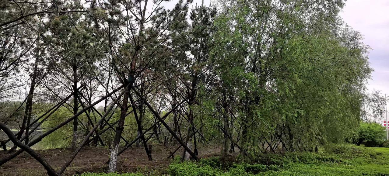 勤是摇钱树
下联：德为聚宝盆