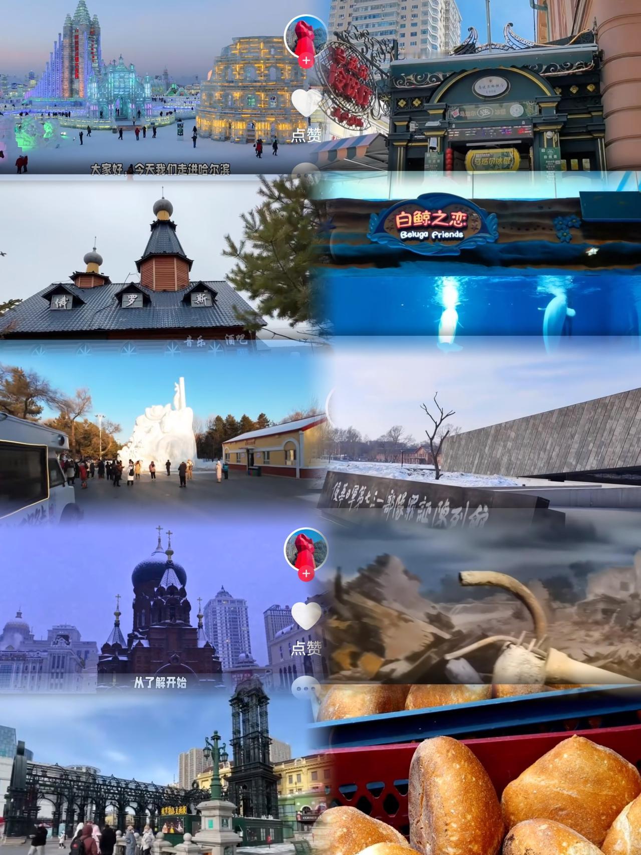 我的家乡哈尔滨，妥妥的东北顶流！冬天的冰雪大世界美到出圈，冰滑梯、雪城堡玩到不想