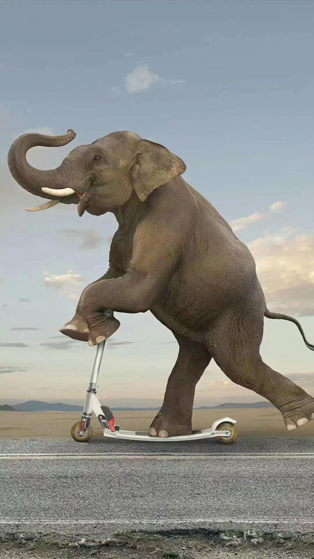 [碰拳]泰柬边境冲突又又爆发了，双方都动用重型武器致多人伤亡。。。
[碰拳]柬埔