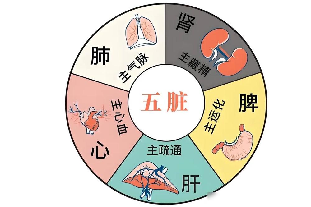 人一旦成功，就成了热门话题。

我搞科研快二十年了，真的看不上这种非黑即白的二极