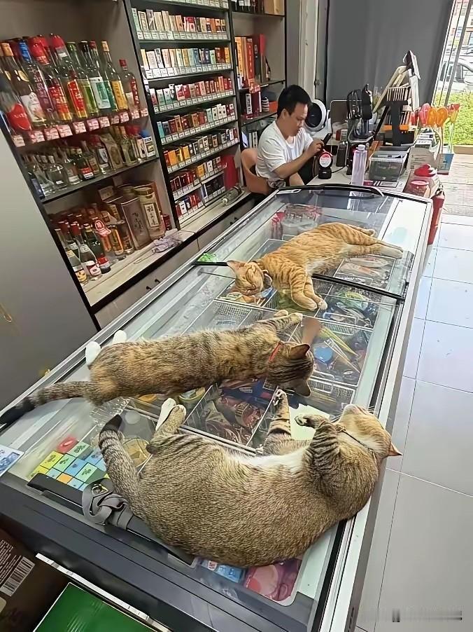 看得出来，店主是个很善良的人[赞]