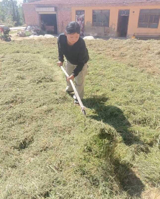 张学顺：爱与希望之

说 到 做 到（3）

不知不觉已经两个多小时，可欣的妈妈