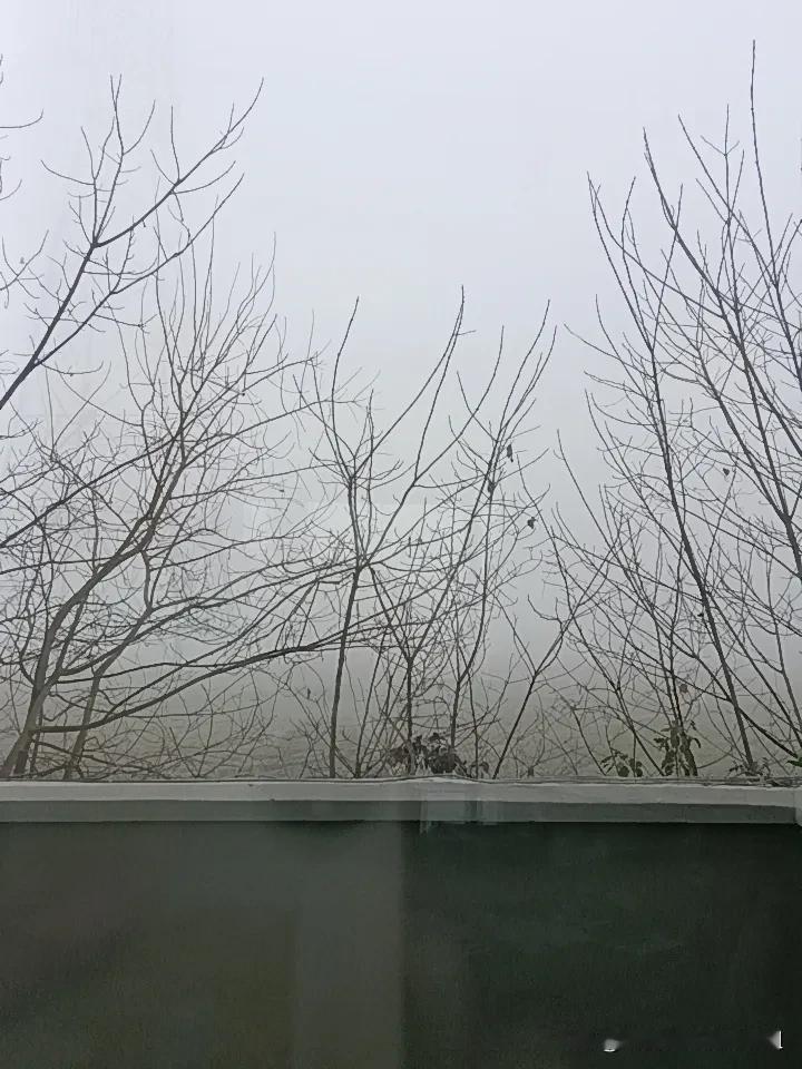 退休倒计时第九天，今日大雾。