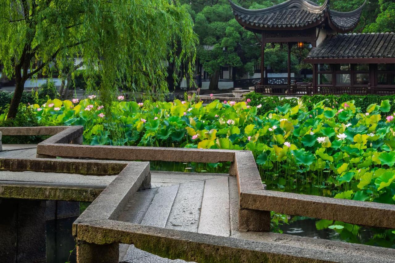 苏州拙政园。苏州拙政园中式园林之美学 江南水乡里的诗情画意 江南园林美学 苏州的