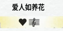 爱人如养花爱普 
