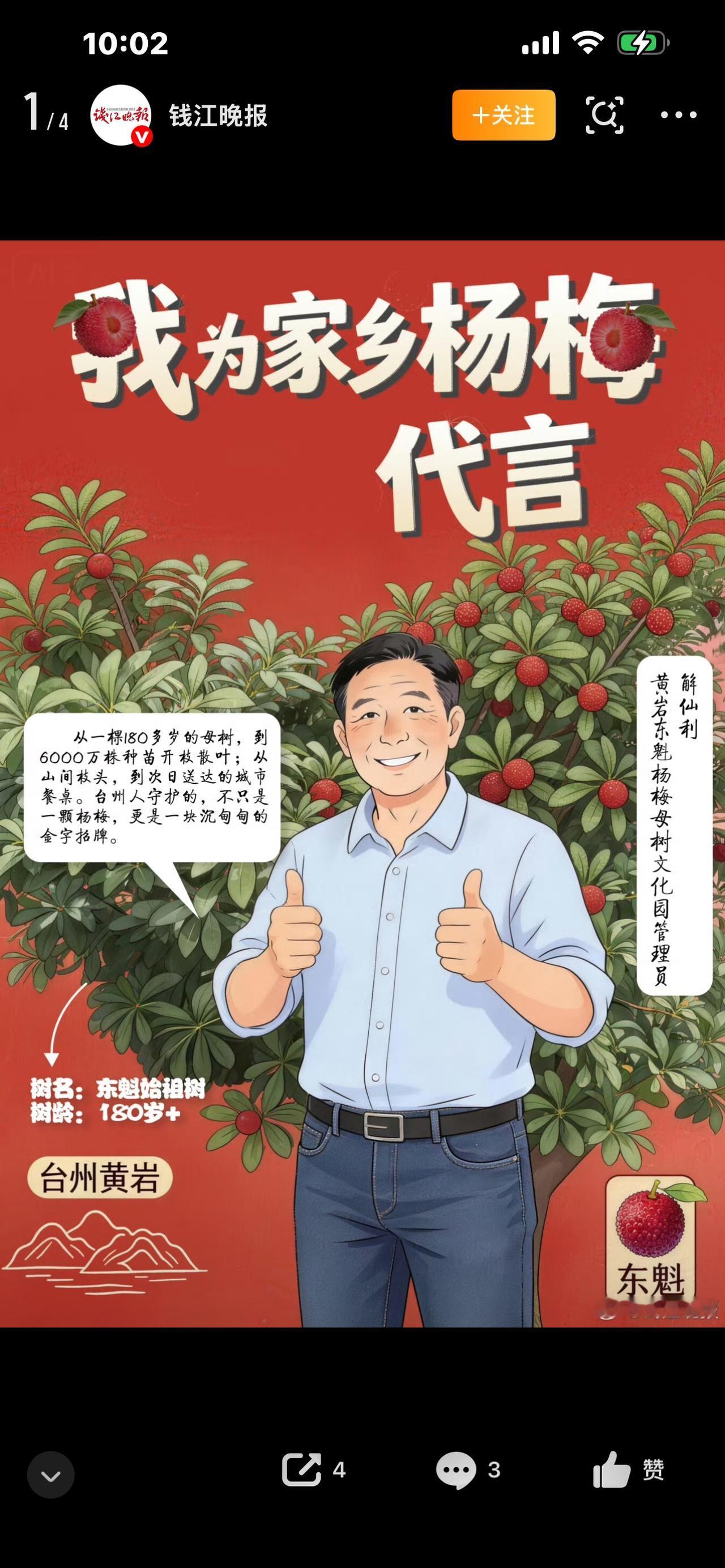 视频标题：全国东魁杨梅的老祖宗！浙江180岁古树枯而复生，今年重新挂满果子

你