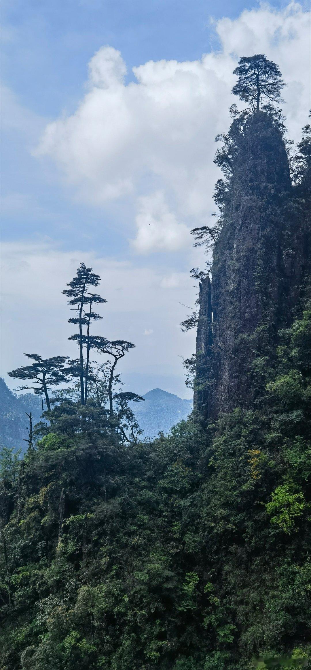 随手拍天下莽山，人间仙境。 郴州·五指峰景区-索道上站