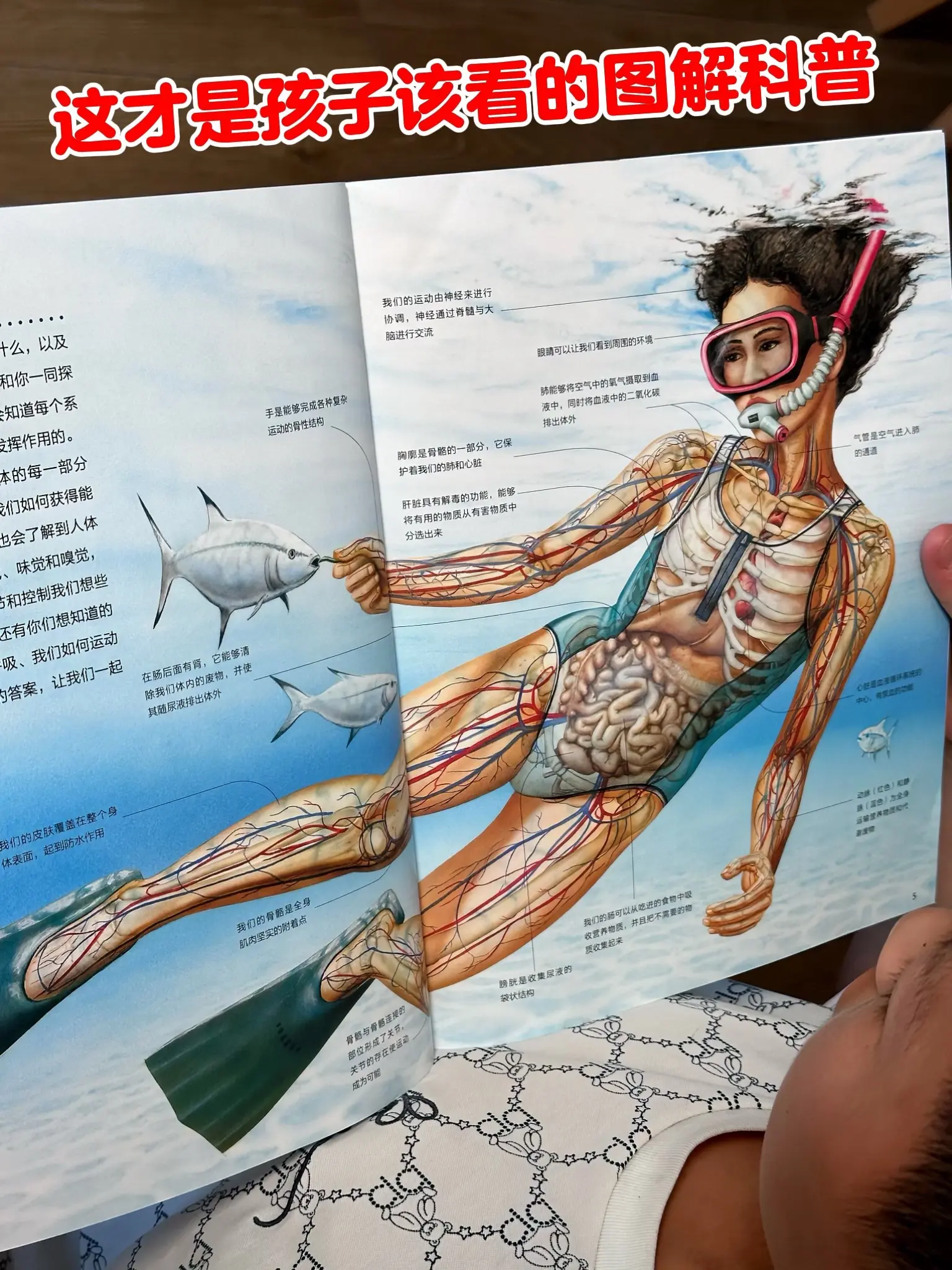 太震撼了‼️孩子翻开就停不下来🥰。📚 不愧是由英国皇家天文学会院士...
