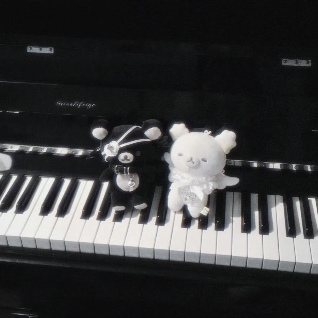 🐾⭐︎🩶.ᐟ.ᐟ🐈⬛⭐︎🖤⟡.·宁艺卓