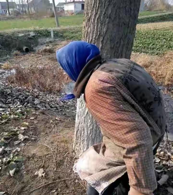 老人养老在农村真的成了大问题，之前养儿防老，现在不好使了，生几个儿子的不如生一个