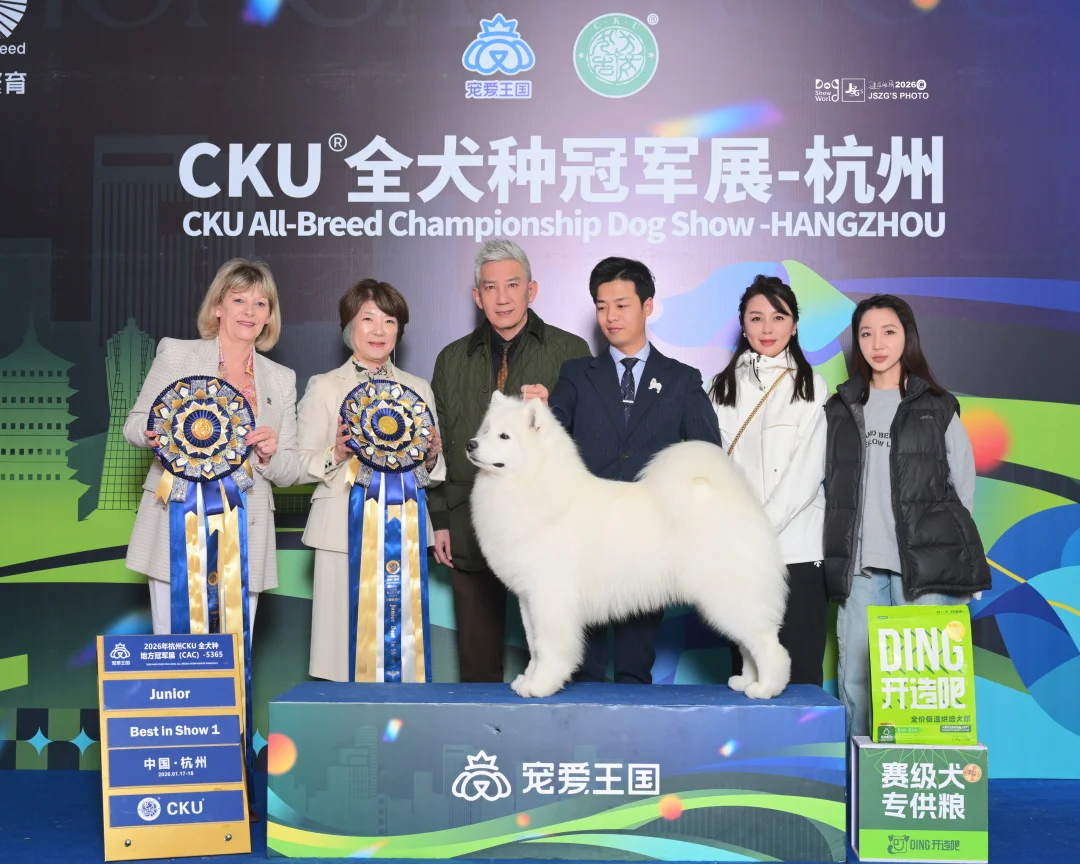 来，看小斗拿奖！🏆