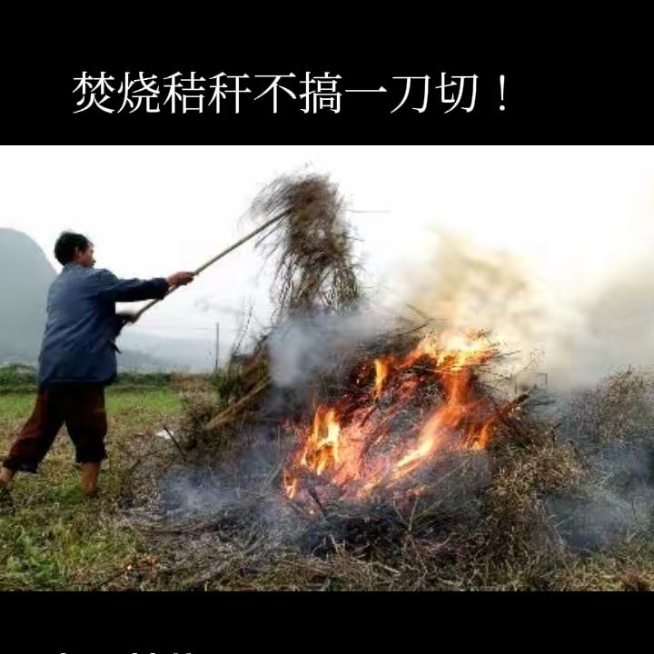 农民盼着“秸秆禁烧不搞一刀切”政策落地，但愿望太美了，现实却是继续坚守秸秆禁烧！