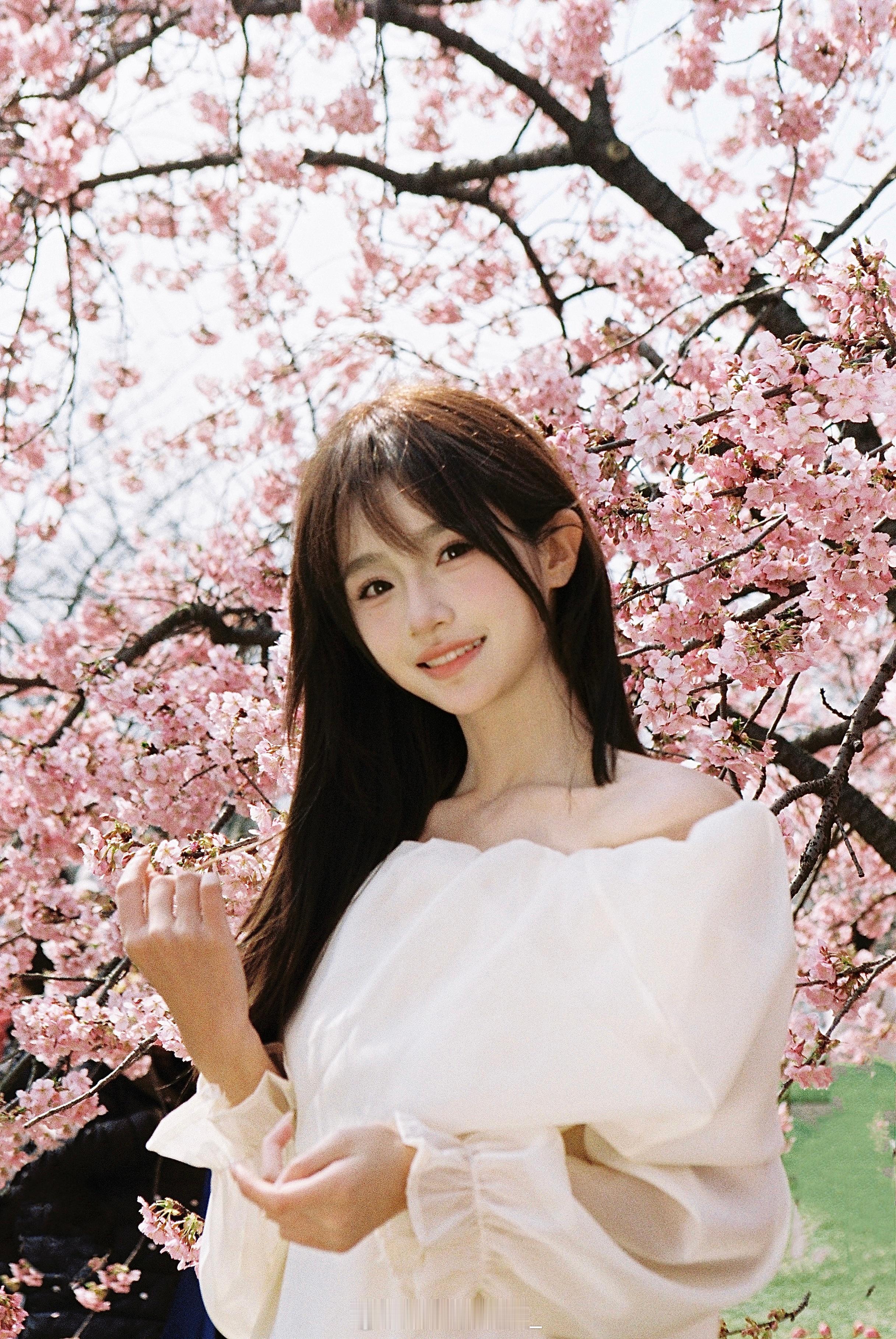 樱花树下站谁都美🌸 ​​​