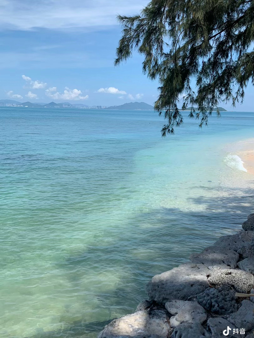 熬过低谷，静待花开，所有坚持，终会迎来温柔回应。晚安💤 